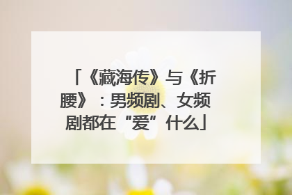 《藏海传》与《折腰》：男频剧、女频剧都在“爱”什么