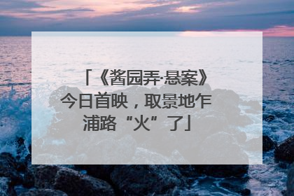 《酱园弄·悬案》今日首映，取景地乍浦路“火”了