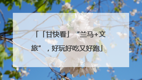 「甘快看」“兰马+文旅”，好玩好吃又好跑