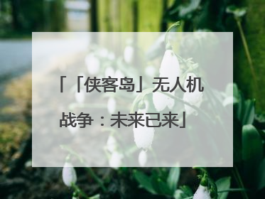 「侠客岛」无人机战争：未来已来