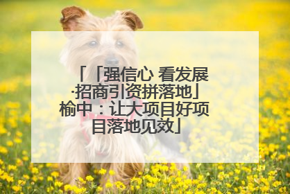「强信心 看发展·招商引资拼落地」榆中：让大项目好项目落地见效