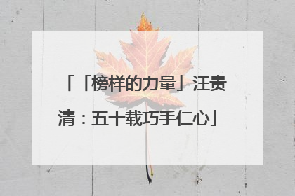 「榜样的力量」汪贵清：五十载巧手仁心