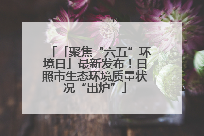 「聚焦“六五”环境日」最新发布！日照市生态环境质量状况“出炉”