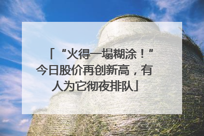 “火得一塌糊涂！”今日股价再创新高，有人为它彻夜排队