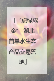 “点绿成金” 湖北首单水生态产品交易落地
