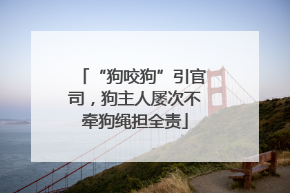 “狗咬狗”引官司，狗主人屡次不牵狗绳担全责