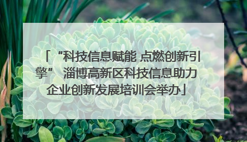 “科技信息赋能 点燃创新引擎” 淄博高新区科技信息助力企业创新发展培训会举办