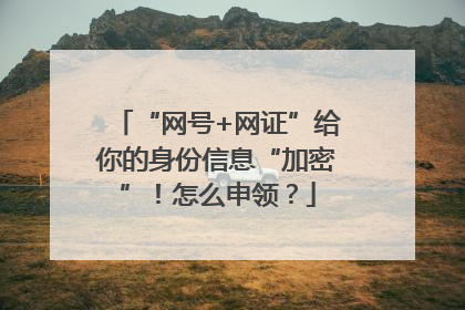 “网号+网证”给你的身份信息“加密”！怎么申领？