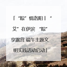 “粽”情洛阳丨“艾”在伊滨 “粽”享露营 端午主题文明实践活动启动