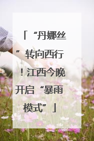 “丹娜丝”转向西行！江西今晚开启“暴雨模式”