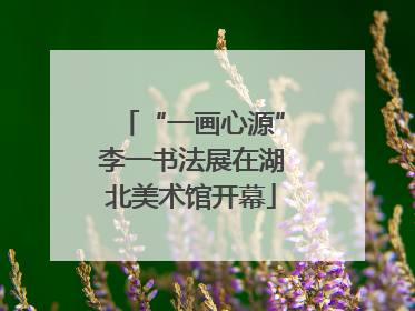 “一画心源”李一书法展在湖北美术馆开幕