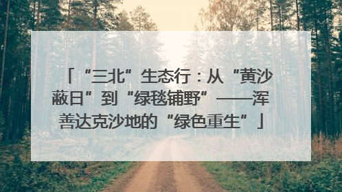 “三北”生态行：从“黄沙蔽日”到“绿毯铺野”——浑善达克沙地的“绿色重生”
