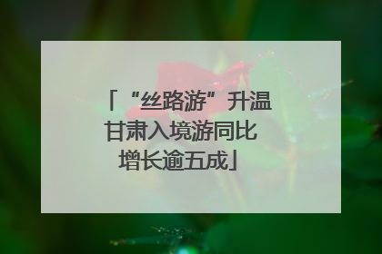 “丝路游”升温 甘肃入境游同比增长逾五成