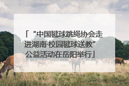 “中国毽球跳绳协会走进湖南·校园毽球送教”公益活动在岳阳举行