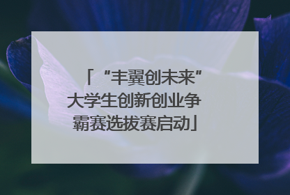 “丰翼创未来”大学生创新创业争霸赛选拔赛启动