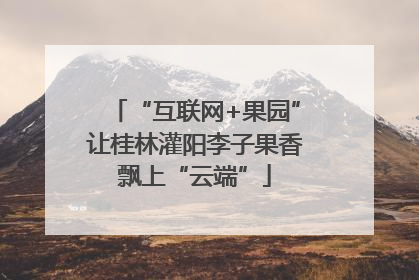 “互联网+果园”让桂林灌阳李子果香飘上“云端”