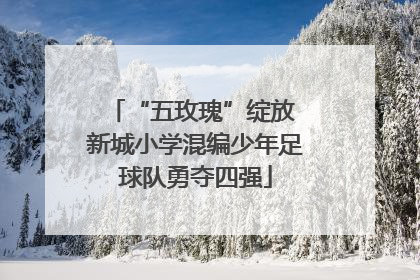 “五玫瑰”绽放 新城小学混编少年足球队勇夺四强