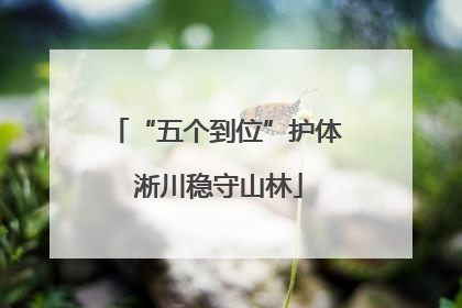 “五个到位”护体 淅川稳守山林
