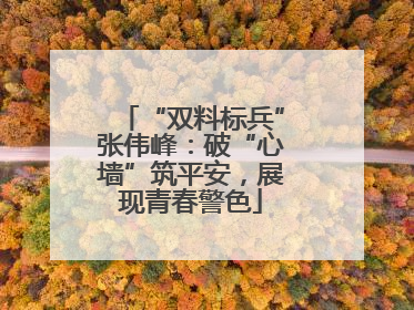 “双料标兵”张伟峰：破“心墙”筑平安，展现青春警色
