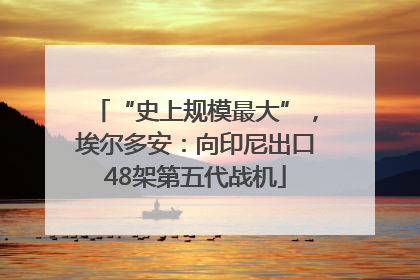 “史上规模最大”，埃尔多安：向印尼出口48架第五代战机