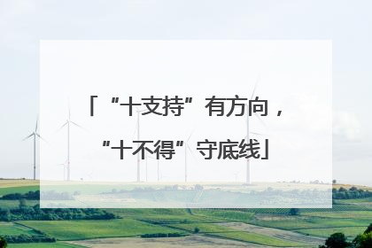 “十支持”有方向，“十不得”守底线