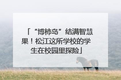 “博柿岛”结满智慧果！松江这所学校的学生在校园里探险