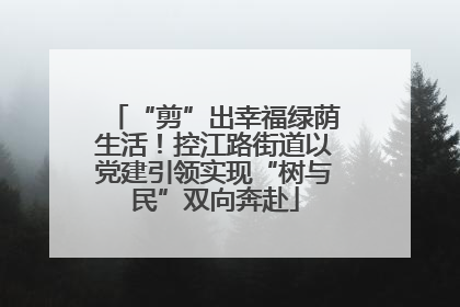 “剪”出幸福绿荫生活！控江路街道以党建引领实现“树与民”双向奔赴