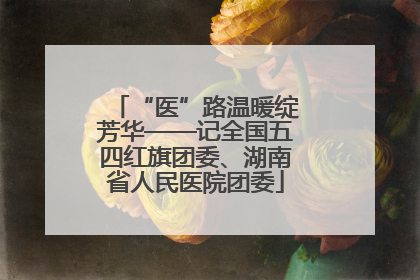 “医”路温暖绽芳华——记全国五四红旗团委、湖南省人民医院团委