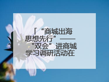 “商城出海 思想先行”——“双会”进商城学习调研活动在临沂顺利开展