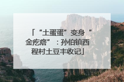 “土蛋蛋”变身“金疙瘩”：孙伯镇西程村土豆丰收记