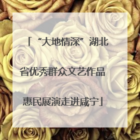 “大地情深”湖北省优秀群众文艺作品惠民展演走进咸宁