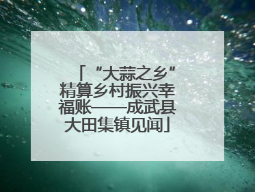 “大蒜之乡”精算乡村振兴幸福账——成武县大田集镇见闻