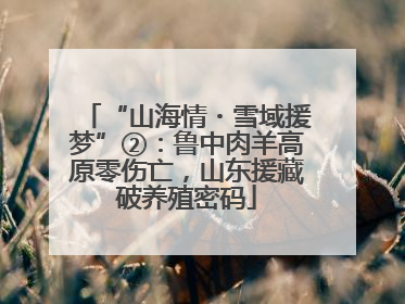 “山海情・雪域援梦”②：鲁中肉羊高原零伤亡，山东援藏破养殖密码