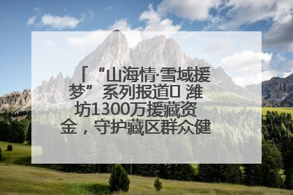 “山海情·雪域援梦”系列报道⑪ 潍坊1300万援藏资金，守护藏区群众健康“最后一公里”