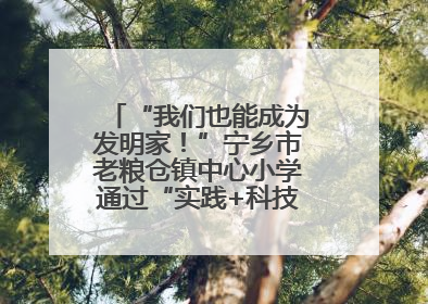 “我们也能成为发明家！”宁乡市老粮仓镇中心小学通过“实践+科技”模式，为乡村娃探索教育新路径