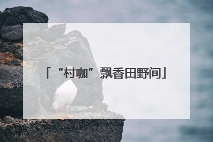 “村咖”飘香田野间