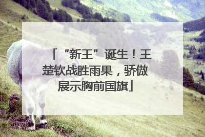 “新王”诞生！王楚钦战胜雨果，骄傲展示胸前国旗