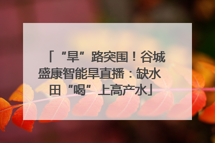 “旱”路突围！谷城盛康智能旱直播：缺水田“喝”上高产水
