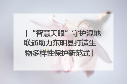 “智慧天眼”守护湿地 联通助力东明县打造生物多样性保护新范式