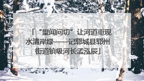 “望闻问切”让河道重现水清岸绿——记郓城县郓州街道镇级河长孟泓辰