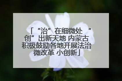 “治”在细微处 “创”出新天地 内蒙古积极鼓励各地开展法治微改革 小创新