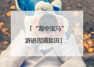 “海中宝马”游进霞浦盐田