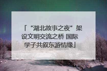 “湖北故事之夜”架设文明交流之桥 国际学子共叙东游情缘