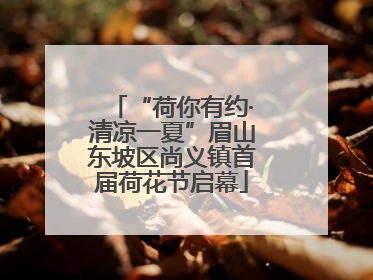 “荷你有约·清凉一夏”眉山东坡区尚义镇首届荷花节启幕