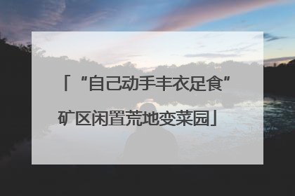 “自己动手丰衣足食”矿区闲置荒地变菜园