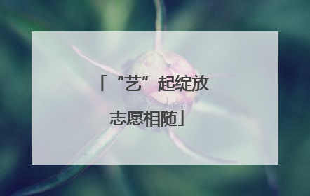 “艺”起绽放 志愿相随