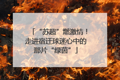 “苏超”燃激情！走进宿迁球迷心中的那片“绿茵”