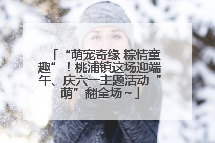 “萌宠奇缘 粽情童趣”！桃浦镇这场迎端午、庆六一主题活动“萌”翻全场～