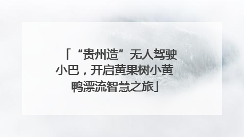 “贵州造”无人驾驶小巴，开启黄果树小黄鸭漂流智慧之旅