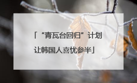 “青瓦台回归”计划让韩国人喜忧参半